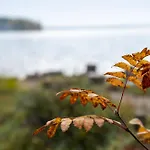 Rantarovio * Alvajärvi
