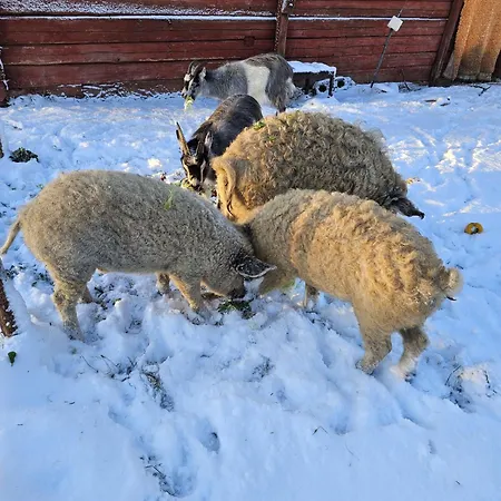 Rantarovio * Alvajärvi