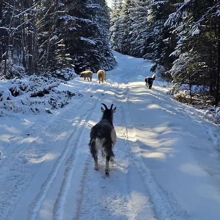 Rantarovio Apartament