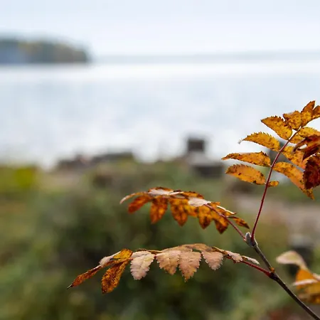 Rantarovio * Alvajärvi