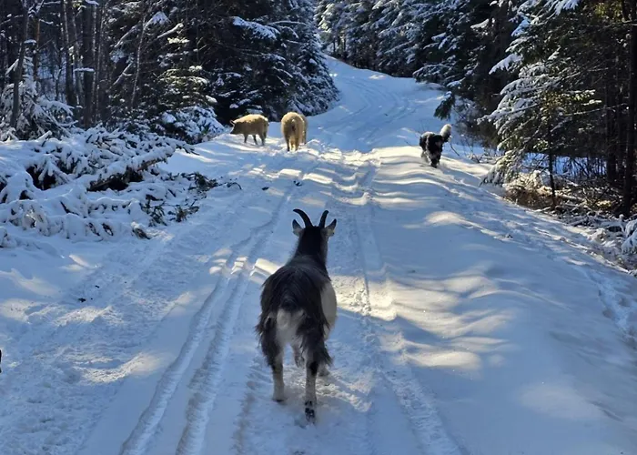 Rantarovio Huoneisto